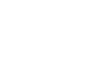 apn-01-01