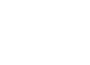 ferro-01